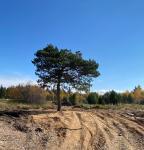 <Фотография до<br>